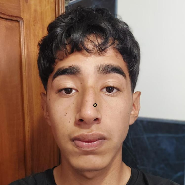 User Image