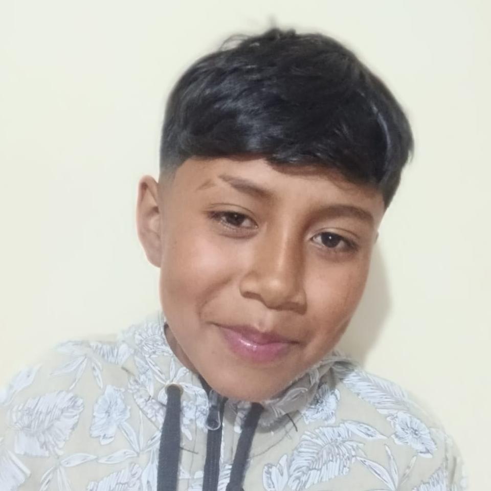 User Image
